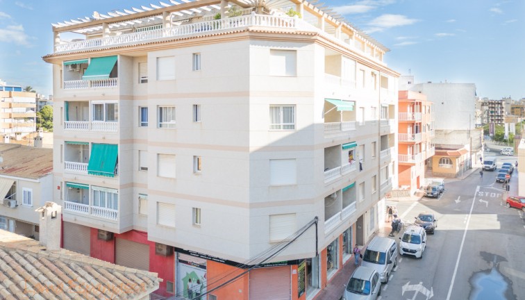 Apartment - Resale - Torrevieja - Acequion