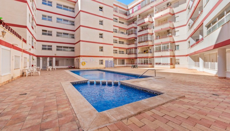 Apartment - Resale - Torrevieja - Torrevieja