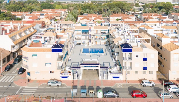 Apartment - Top Floor Apartment - Resale - Torrevieja - Acequion