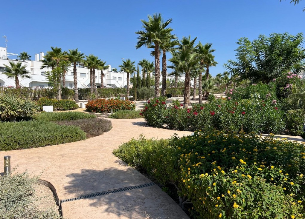 Återförsäljning - Lägenhet - Orihuela - Vistabella Golf