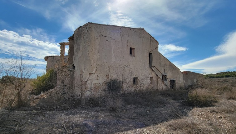 Finca - Resale - San Miguel de Salinas - San Miguel de Salinas