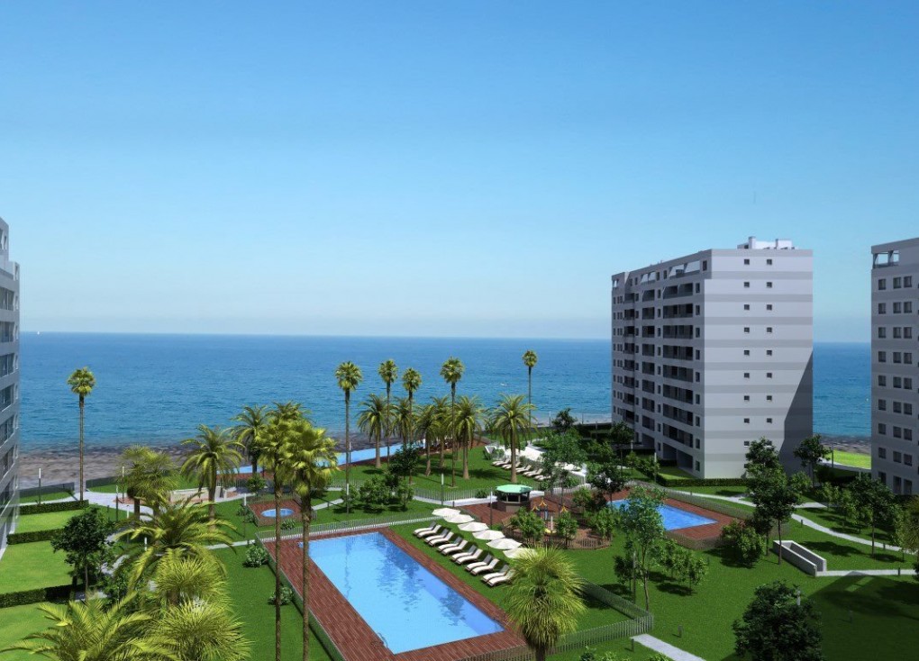 New Build - Apartment - Top Floor Apartment - Torrevieja - Punta Prima