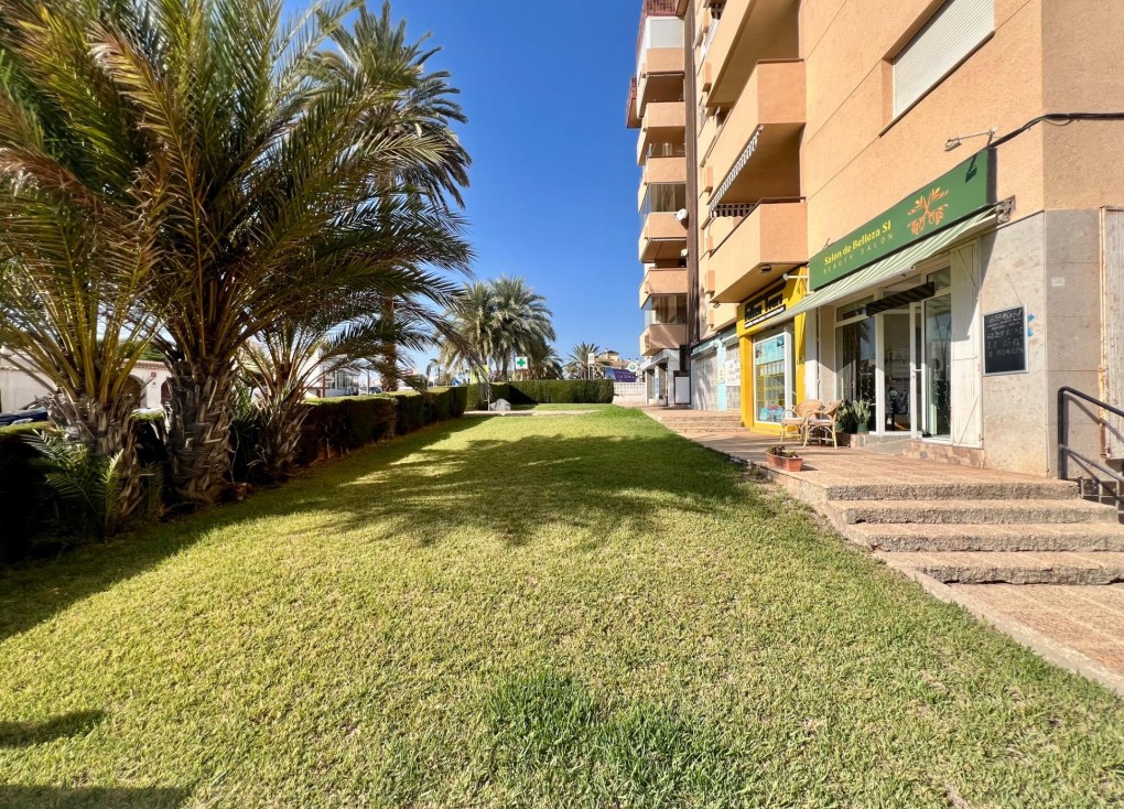 Resale - Apartment - Ground Floor Apartment - Orihuela Costa - La Zenia