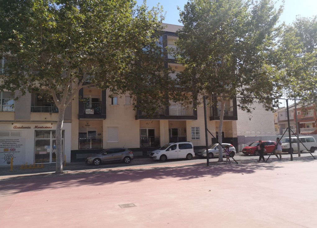 Resale - Apartment - Los Montesinos - LOS MONTESINOS