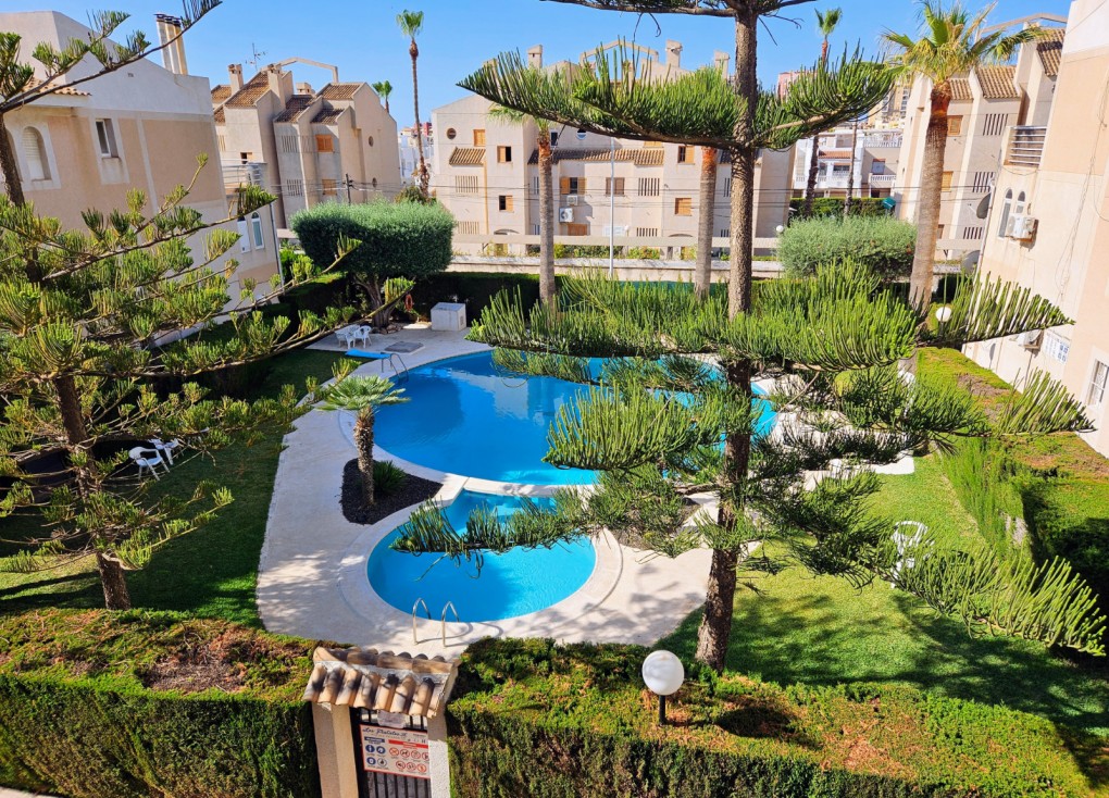 Resale - Apartment - Top Floor Apartment - Torrevieja - Los Frutales