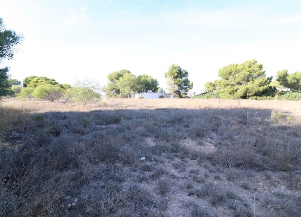 Resale - Plot - Orihuela Costa - Lomas de Cabo Roig