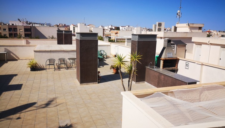 Resale - Apartment - Los Montesinos - LOS MONTESINOS