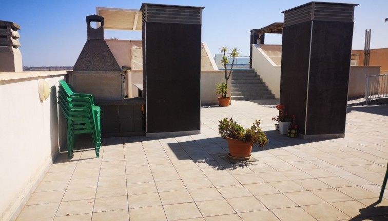 Resale - Apartment - Los Montesinos - LOS MONTESINOS