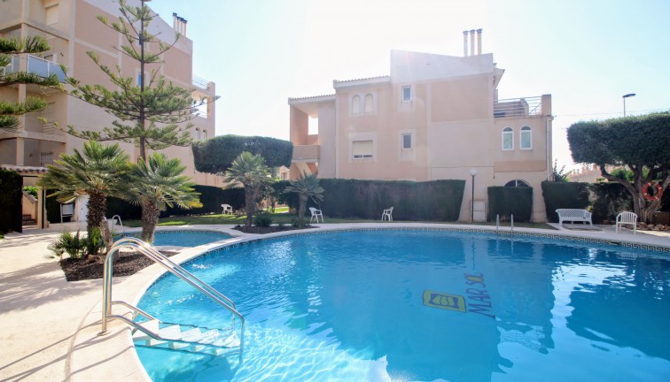 Resale - Apartment - Top Floor Apartment - Torrevieja - Los Frutales