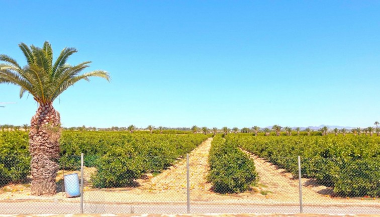 Jälleenmyynti - Asunto - Torrevieja - Los Balcones