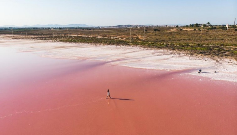 Uudistuotanto - Asunto - Ylimmän kerroksen asunto - Torrevieja - LA MATA