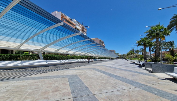 Nybyggen - Lägenhet - Torrevieja - Playa de los Locos