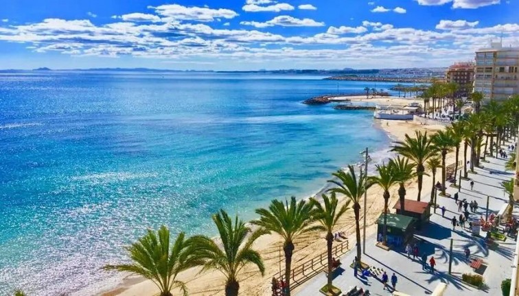 Nybyggen - Lägenhet - Torrevieja - Playa de los Locos