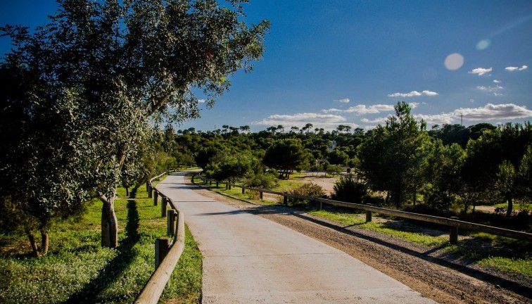 Uudistuotanto - Erillistalo - Rojales - Ciudad Quesada