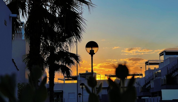 Återförsäljning - Bungalow - Torrevieja - Aguas Nuevas