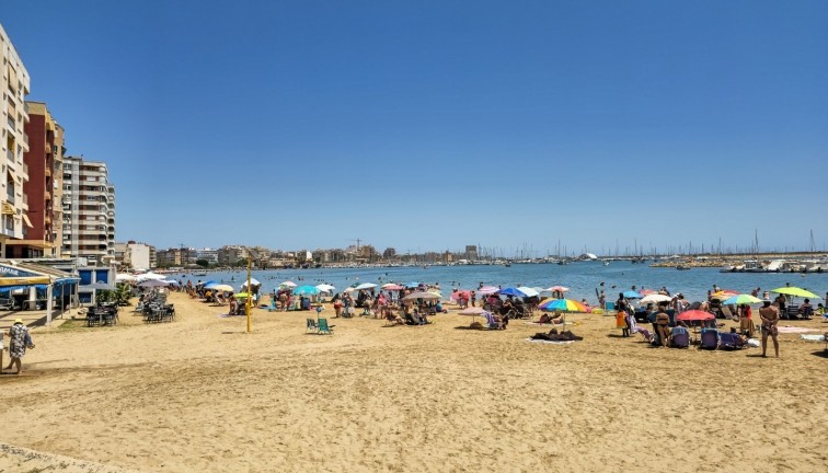 Återförsäljning - Lägenhet - Torrevieja - Acequion