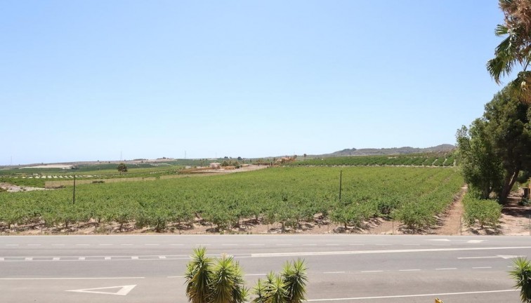 Resale - Hotel - San Miguel de Salinas