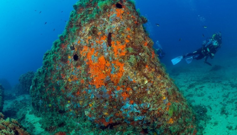 Uudistuotanto - Asunto - Aguilas - Isla Del Fraile