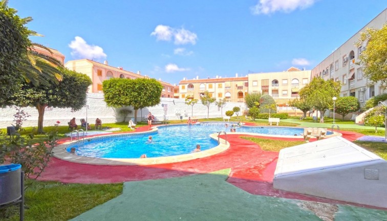 Resale - Apartment - Torrevieja - Acequion