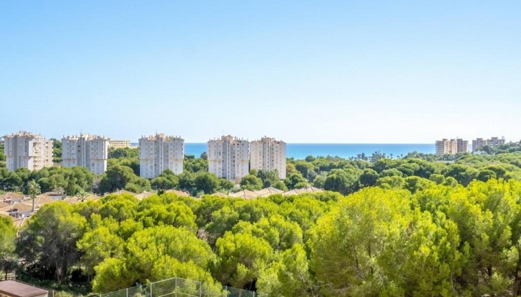 Återförsäljning - Lägenhet - Orihuela Costa - Campoamor