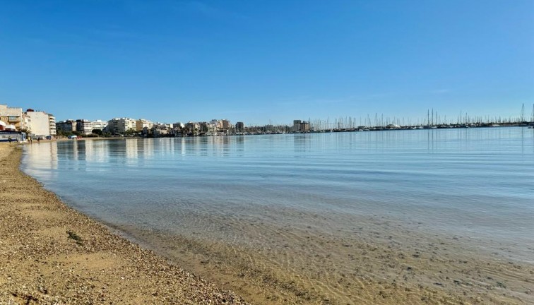 Återförsäljning - Lägenhet - Torrevieja - Acequion