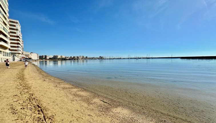 Återförsäljning - Lägenhet - Torrevieja - Acequion