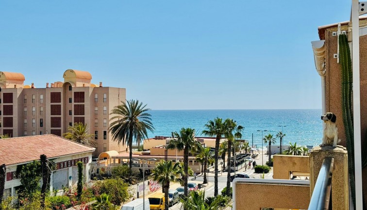 Återförsäljning - Lägenhet - Torrevieja - LA MATA