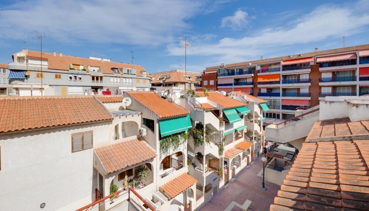 Resale - Apartment - Torrevieja - Acequion