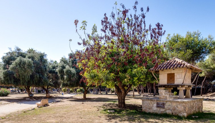 Jälleenmyynti - Asunto - Torrevieja - Acequion