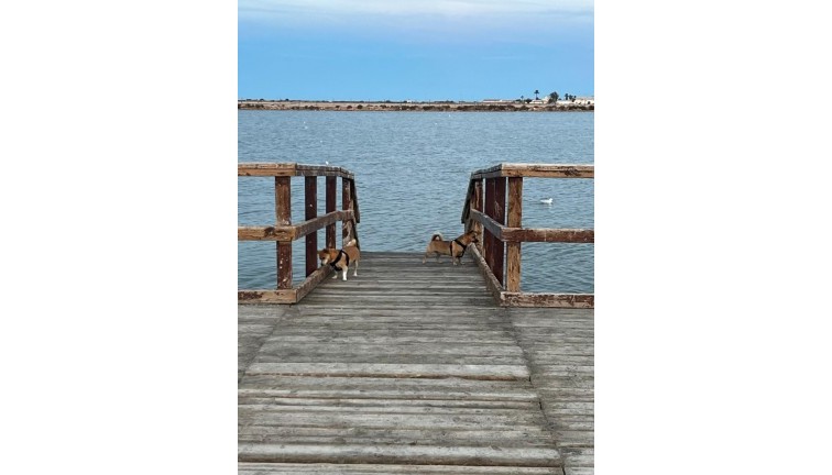 Återförsäljning - Fristående hus - Santiago de la Ribera - Dos Mares