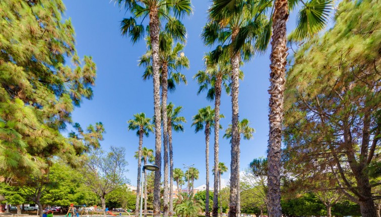 Återförsäljning - Bungalow - Torrevieja - Acequion