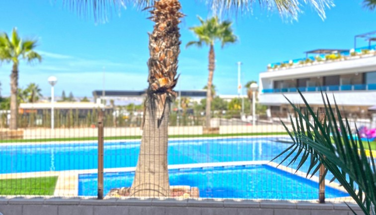 Resale - Semi-Detached - Torrevieja - Los Balcones