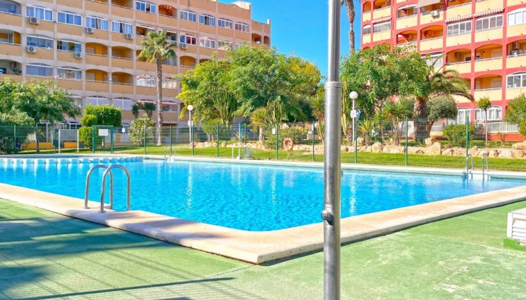 Resale - Apartment - Torrevieja - LA MATA