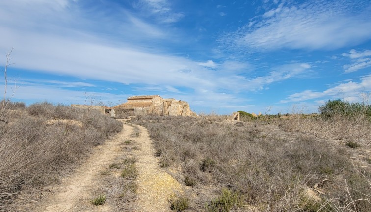 Resale - Finca - San Miguel de Salinas