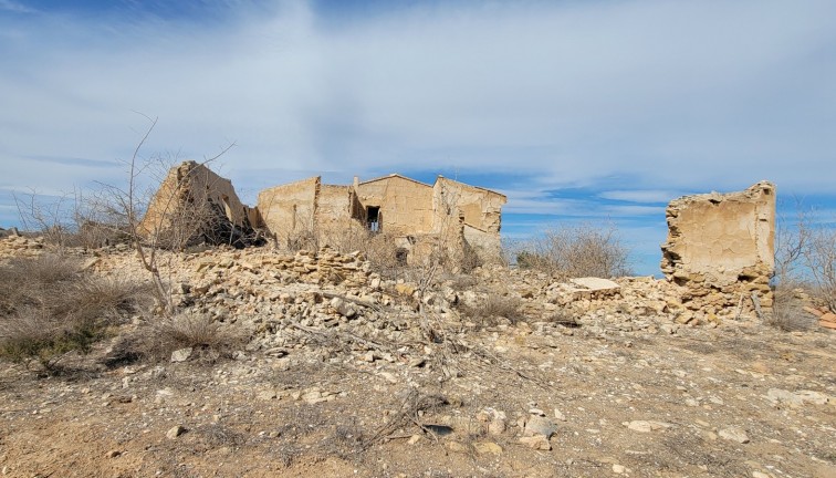 Resale - Finca - San Miguel de Salinas