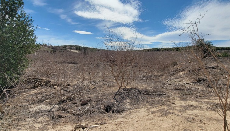 Resale - Finca - San Miguel de Salinas