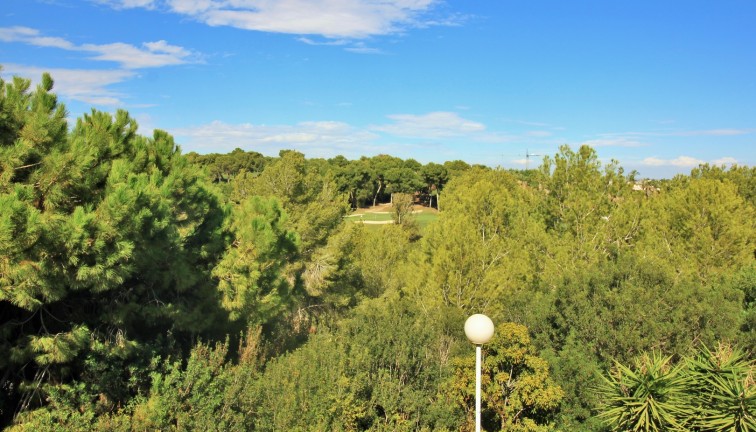 Resale - Apartment - Villamartín