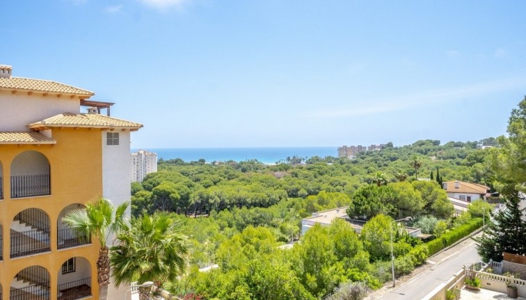 Resale - Apartment - Top Floor Apartment - Orihuela Costa - Campoamor