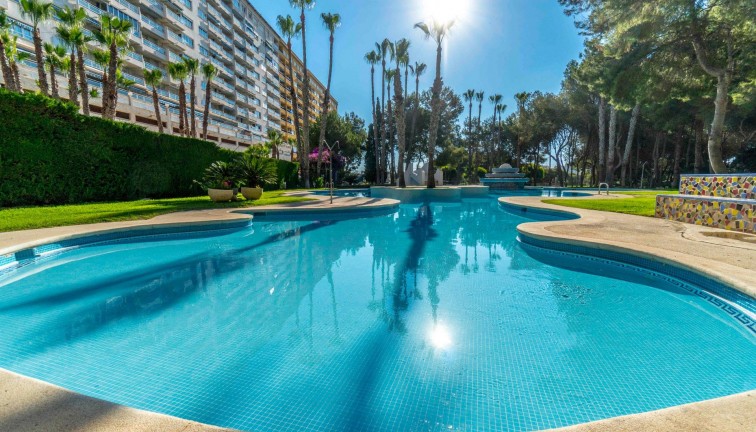 Resale - Apartment - Orihuela Costa - Campoamor