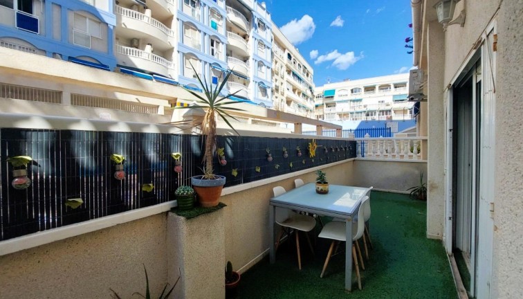 Resale - Apartment - Ground Floor Apartment - Torrevieja - Playa de los Locos