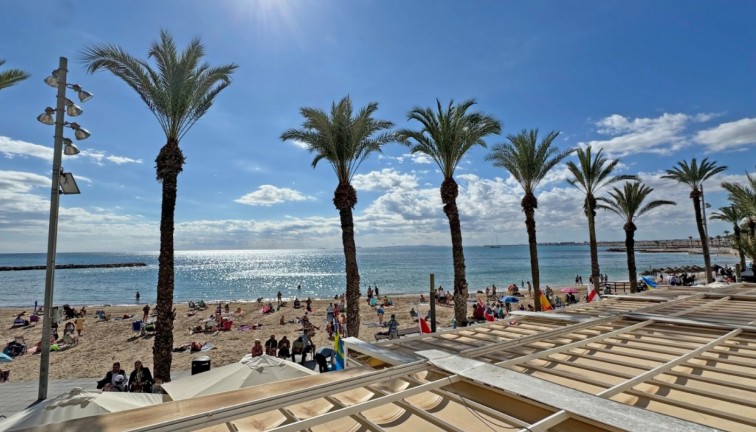 Återförsäljning - Lägenhet - Torrevieja - Playa del Cura