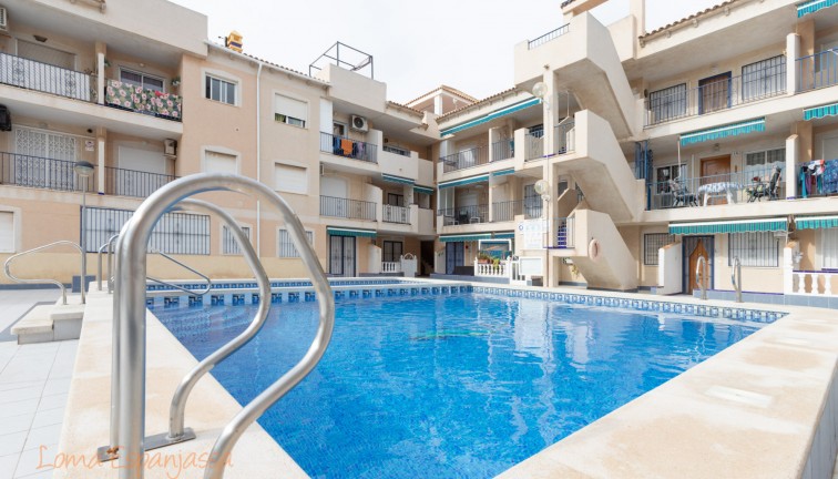 Resale - Apartment - Top Floor Apartment - Torrevieja - Acequion