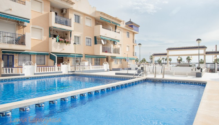 Resale - Apartment - Top Floor Apartment - Torrevieja - Acequion