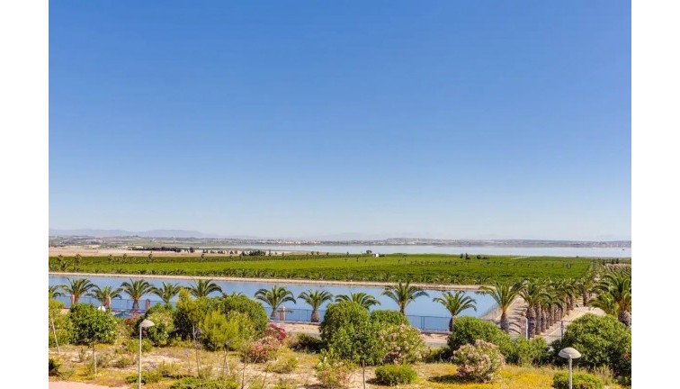 Jälleenmyynti - Asunto - Torrevieja - Los Balcones