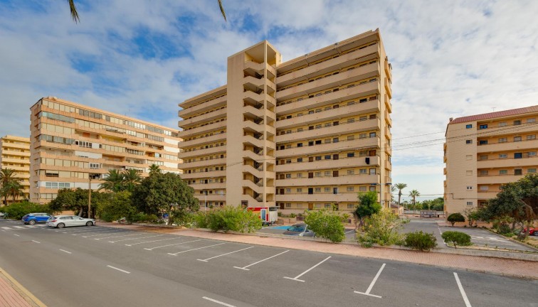 Resale - Apartment - Torrevieja - Cabo cervera