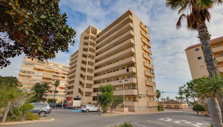 Resale - Apartment - Torrevieja - Cabo cervera