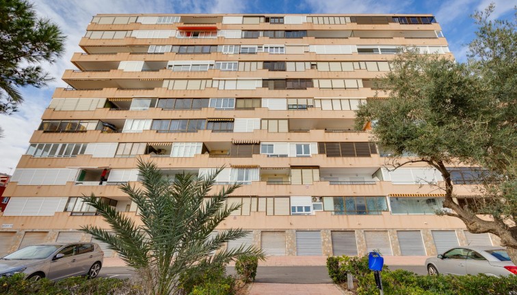 Resale - Apartment - Torrevieja - Cabo cervera