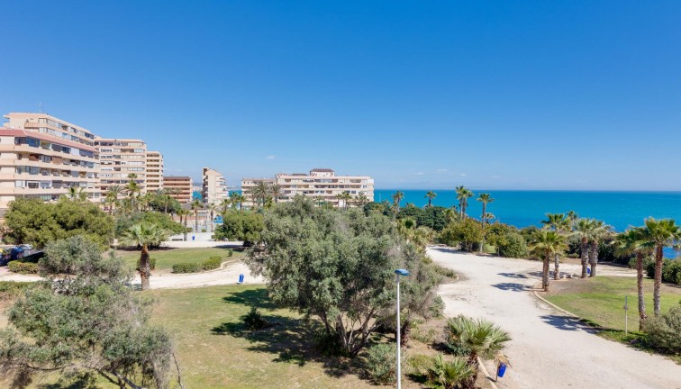 Resale - Apartment - Torrevieja - Cabo cervera