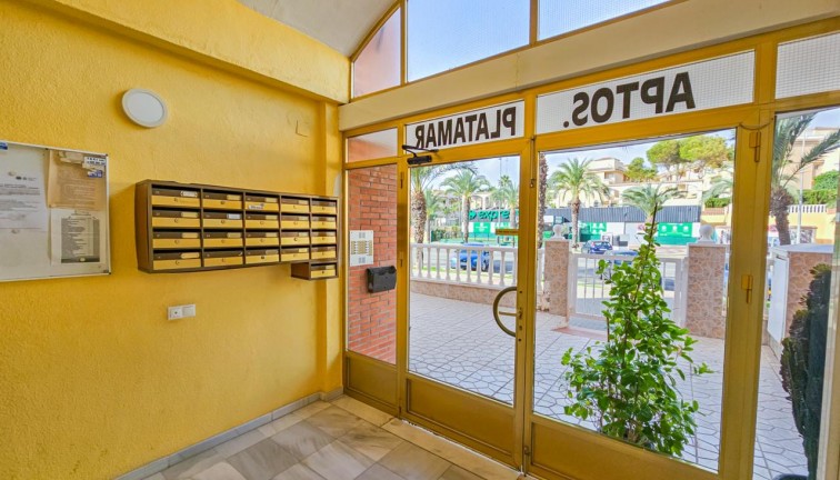 Återförsäljning - Duplex apartment (två våningar) - Guardamar del Segura